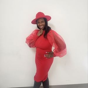 Beautiful sheer sleeve dress